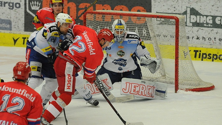 Obrázek